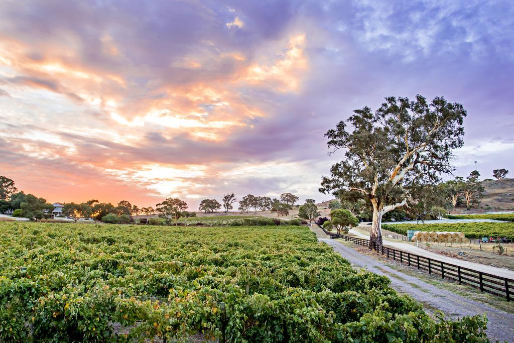 Brockenchack Vineyard Bed & Breakfast Mount McKenzie Exterior photo